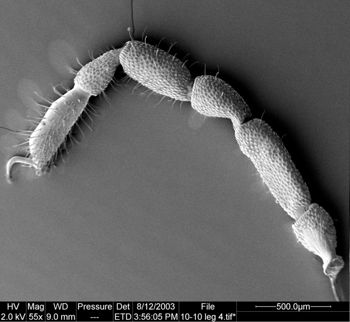 Media type: image;   Invertebrate Zoology 134645